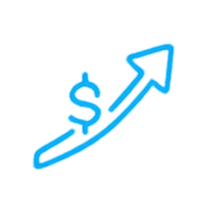 MAXIMIZE VALUE