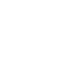 Critical Minerals